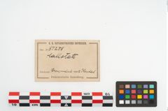 Foto von Bronzehenkelschale (NHMW-PRAE-051248)